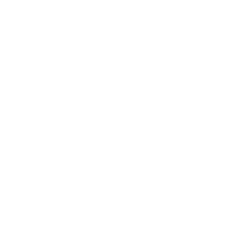 Check Icon